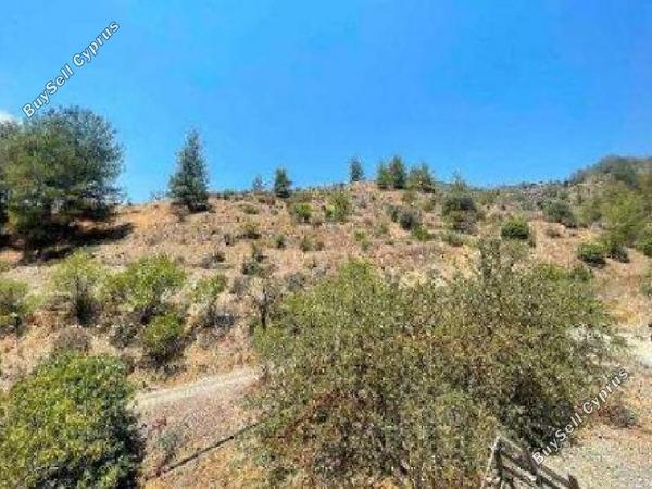 land for sale palaichori oreinis nicosia 8174810 image 13549895