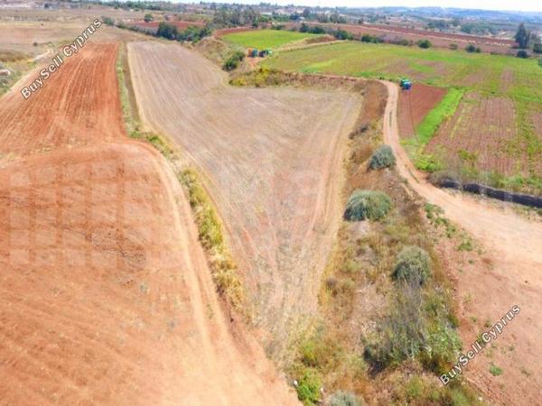 land for sale xylofagou larnaca 7871810 image 11382664