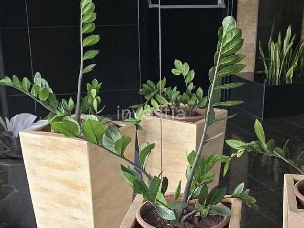 studio office for rent faneromeni larnaca 7822810 image 17405231