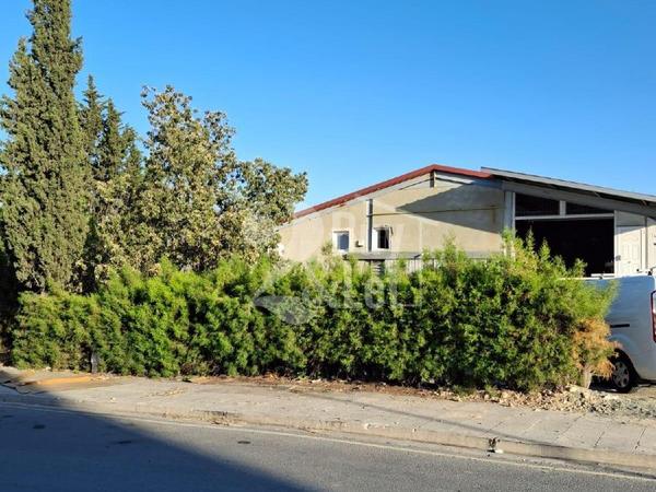 studio warehouse for rent aradippou larnaca 8772810 image 16605643