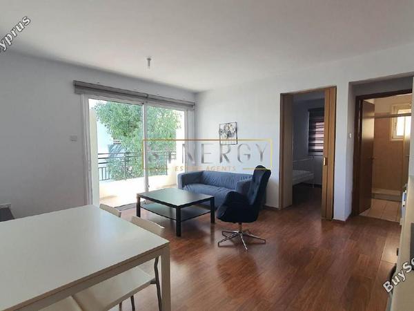 1 bedroom apartment for rent aglantzia nicosia 1724910 image 16338677