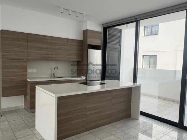 2 bedroom apartment for rent dasoupoli nicosia 8747910 image 16458255