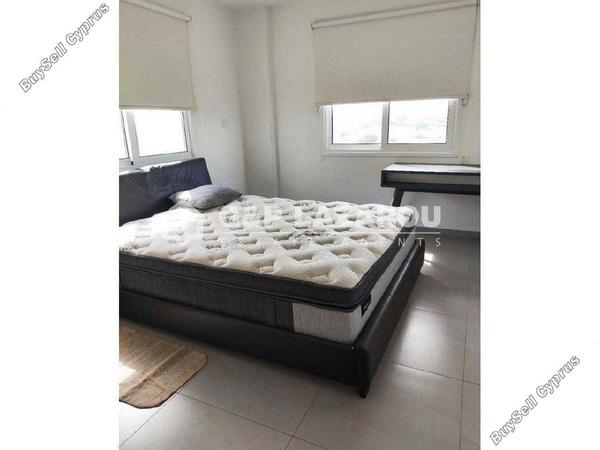1 bedroom apartment for rent aglantzia nicosia 8249020 image 16335281