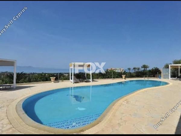 4 bedroom detached house for rent argaka paphos 8931020 image 17665375