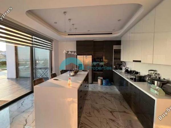 4 bedroom detached house for rent coral bay paphos 8521020 image 16266802
