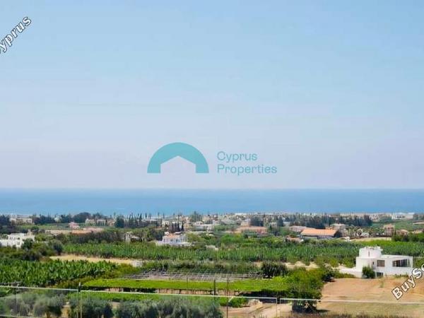 4 bedroom detached house for rent coral bay paphos 8521020 image 16266814