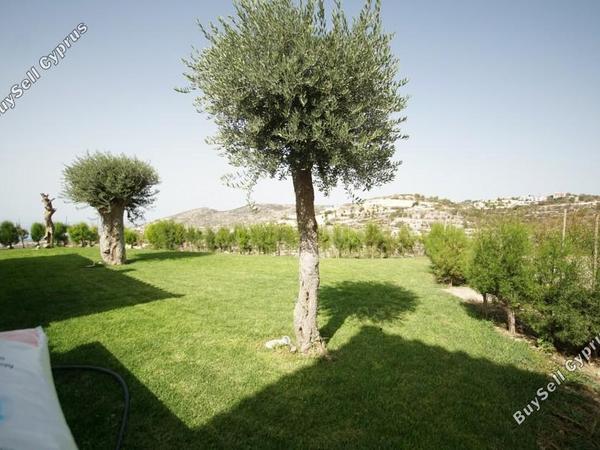 6 bedroom detached house for sale tsada paphos 7740020 image 13697618