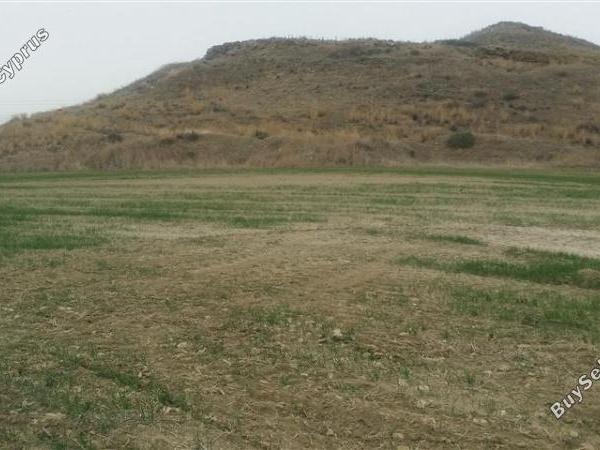 land for sale agia varvara nicosias nicosia 1062020 image 16159236