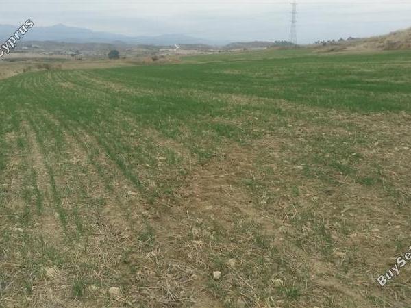 land for sale agia varvara nicosias nicosia 1062020 image 16159237