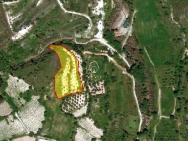 land for sale agios georgios silikou limassol 8822020 image 16949933