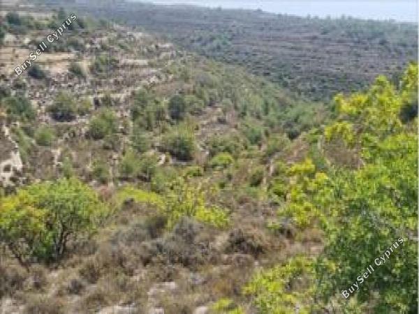 land for sale agios therapon limassol 8629020 image 15864807