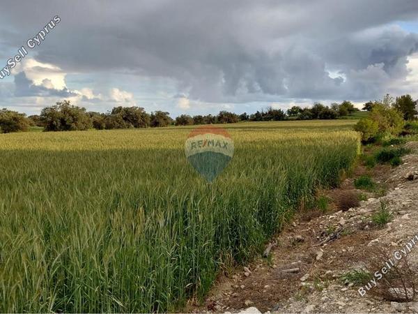 plot for sale alethriko larnaca 8413020 image 14911873