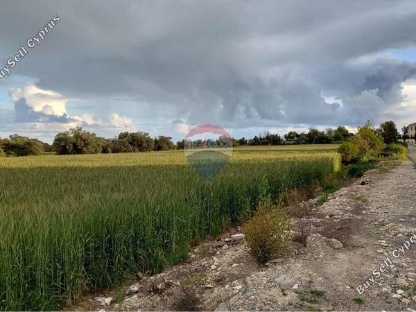 plot for sale alethriko larnaca 8413020 image 14911874