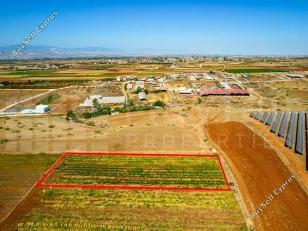 plot for sale peristerona lefkosias nicosia 8123020 image 15884949