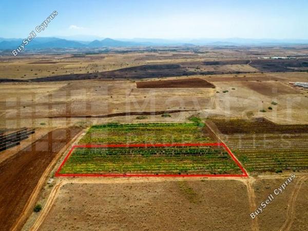 plot for sale peristerona lefkosias nicosia 8123020 image 15884952