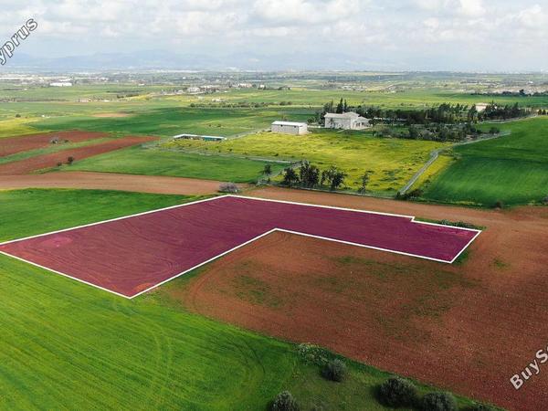 land for sale agioi trimithias nicosia 8382120 image 15003976