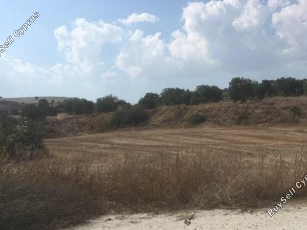land for sale alaminos larnaca 1589120 image 6692325