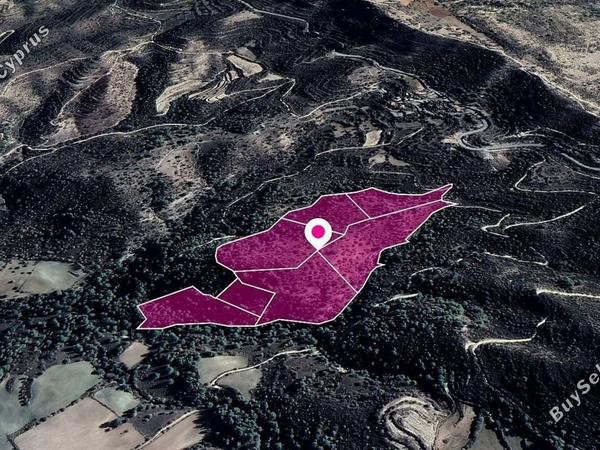 land for sale mousere paphos 8396120 image 14823709