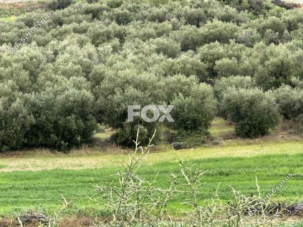 land for sale nikokleia paphos 1270120 image 16673358
