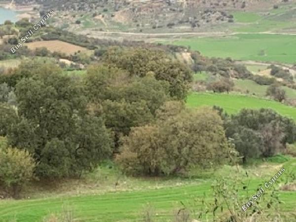 land for sale simou paphos 1279120 image 15599620