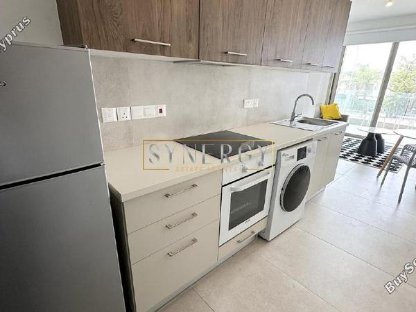 1 bedroom apartment for rent aglantzia nicosia 8659220 image 16339844