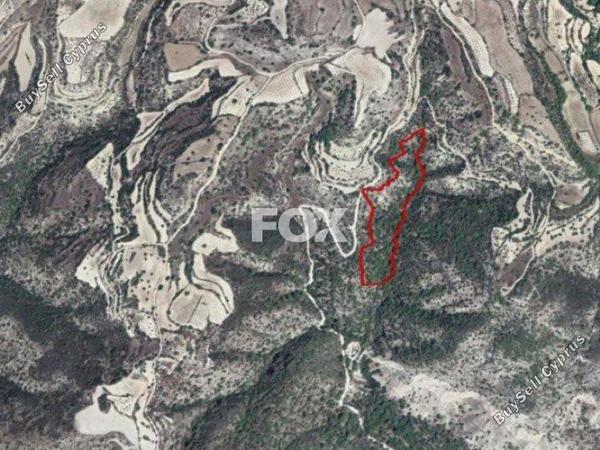 land for sale amargeti paphos 1159220 image 5519676