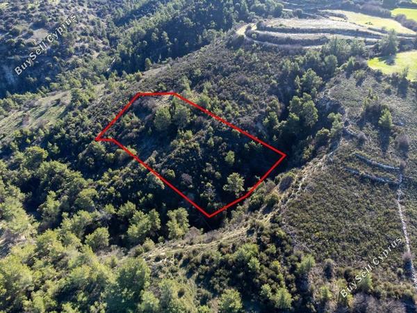 land for sale mousere paphos 1898220 image 14213611