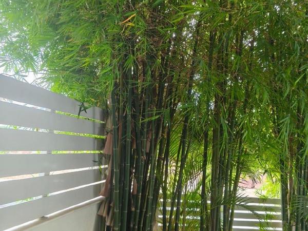4 bedroom detached house for rent neapolis limassol 7463320 image 14866005