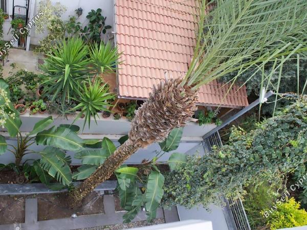 5 bedroom detached house for sale kato lakatamia nicosia 1713320 image 15516260