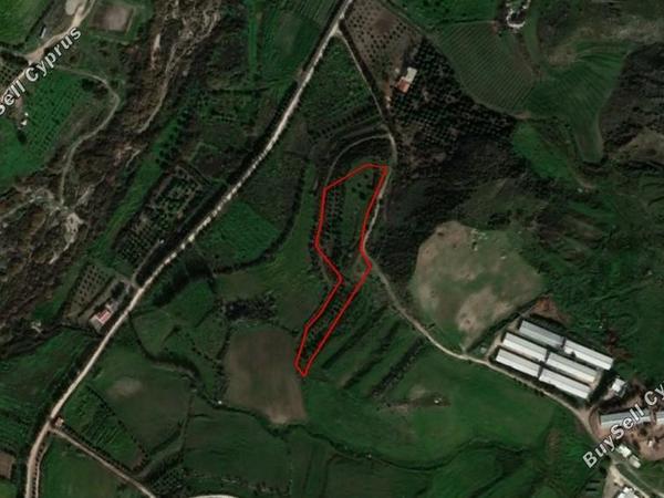 land for sale agia varvara paphos 1355320 image 15279258