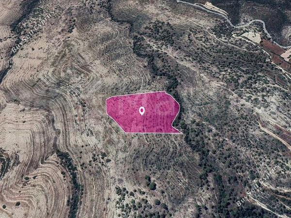 land for sale agios therapon limassol 7872320 image 14892264