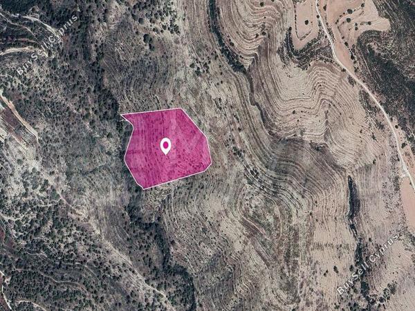 land for sale agios therapon limassol 7872320 image 14892271