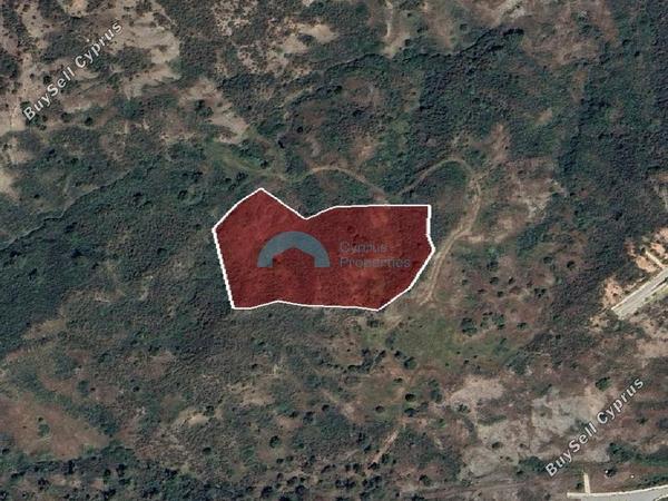 land for sale pigenia nicosia 1805320 image 6519943