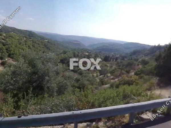 land for sale amargeti paphos 8291420 image 14832091