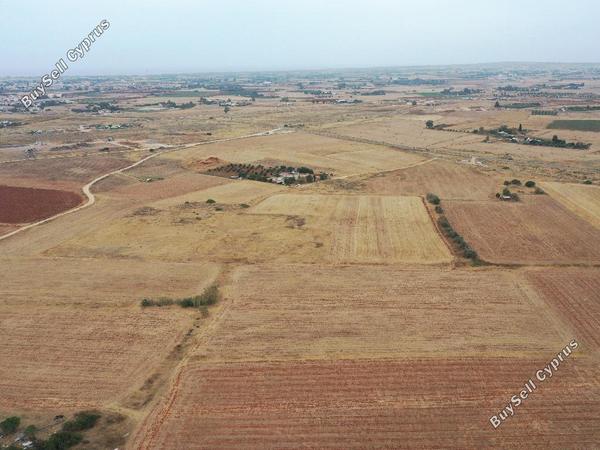 land for sale avgorou famagusta 1054420 image 16512140