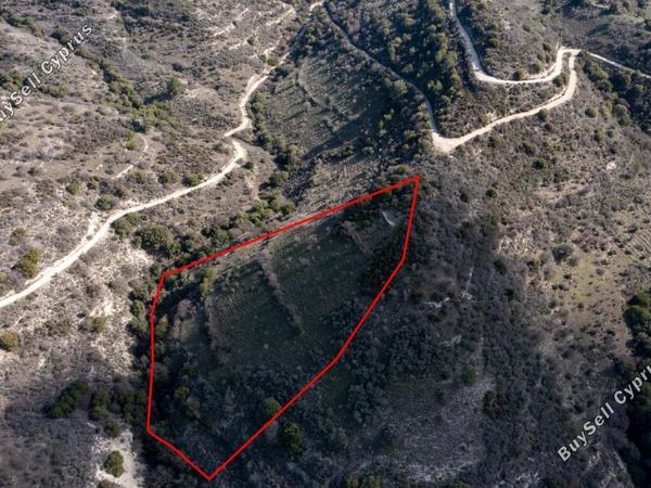 land for sale dora limassol 839420 image 5480829