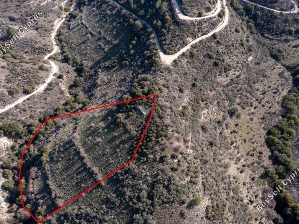land for sale dora limassol 839420 image 5480834
