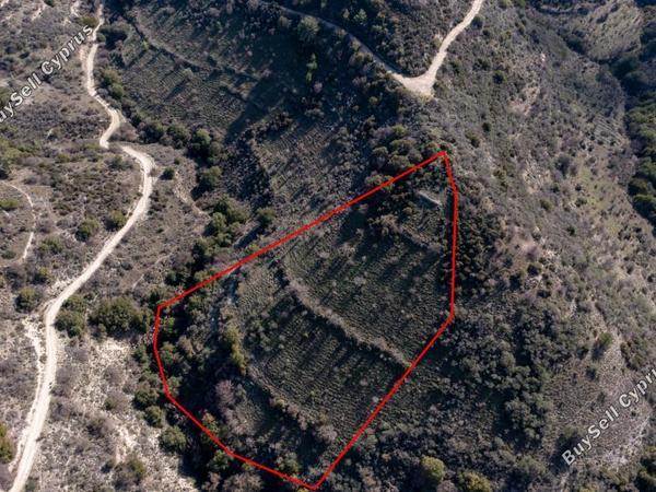 land for sale dora limassol 839420 image 5480837