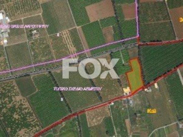 land for sale zakaki limassol 1147520 image 5489569