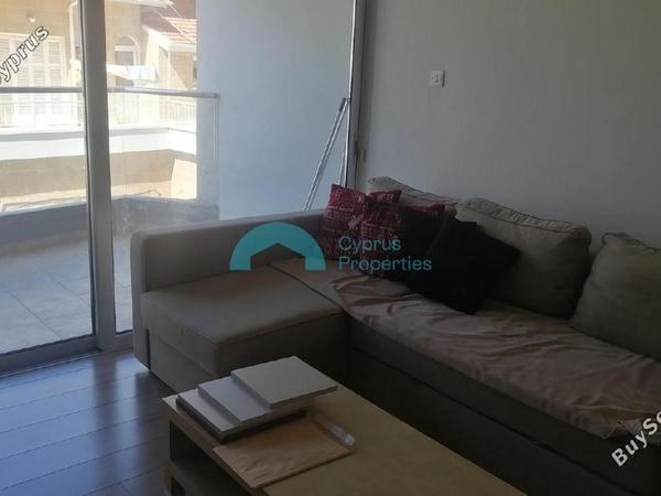 1 bedroom apartment for rent nicosia municipality nicosia 8704620 image 16330824