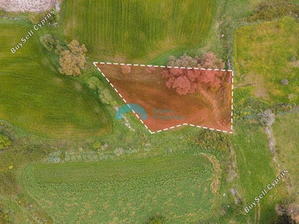 land for sale drousia paphos 1890620 image 16013551