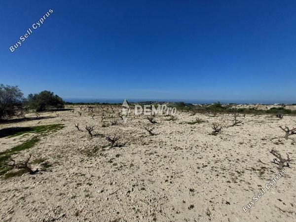 land for sale kathikas paphos 7812620 image 12693321