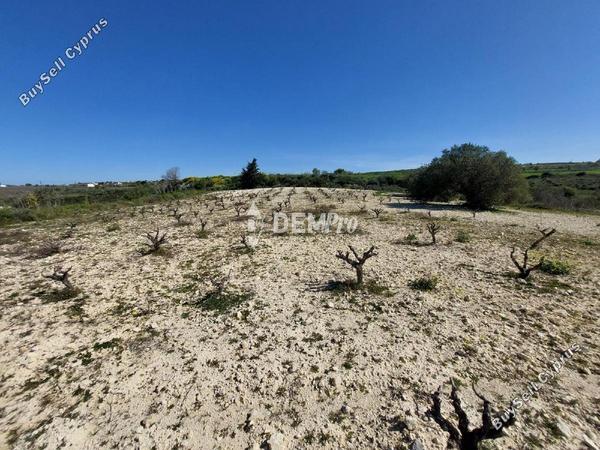 land for sale kathikas paphos 7812620 image 12693325