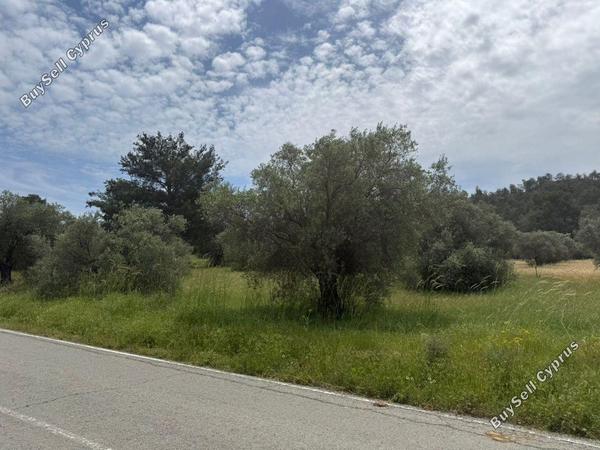 land for sale kornos larnaca 8603620 image 15759044