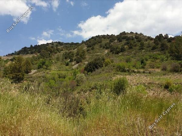 land for sale palaichori morfou nicosia 8489620 image 15277972