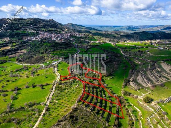plot for sale dora limassol 1007620 image 10489783