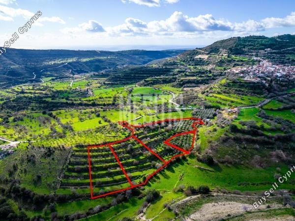 plot for sale dora limassol 1007620 image 10489785