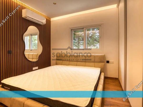4 bedroom detached house for sale protaras famagusta 8742720 image 16407006