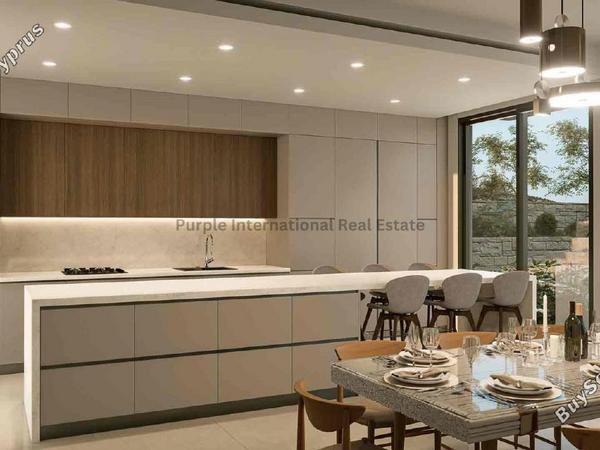 4 bedroom detached house for sale secret valley paphos 7992720 image 12175967