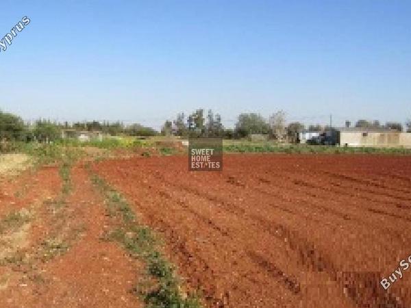 land for sale avgorou famagusta 8833720 image 17009774